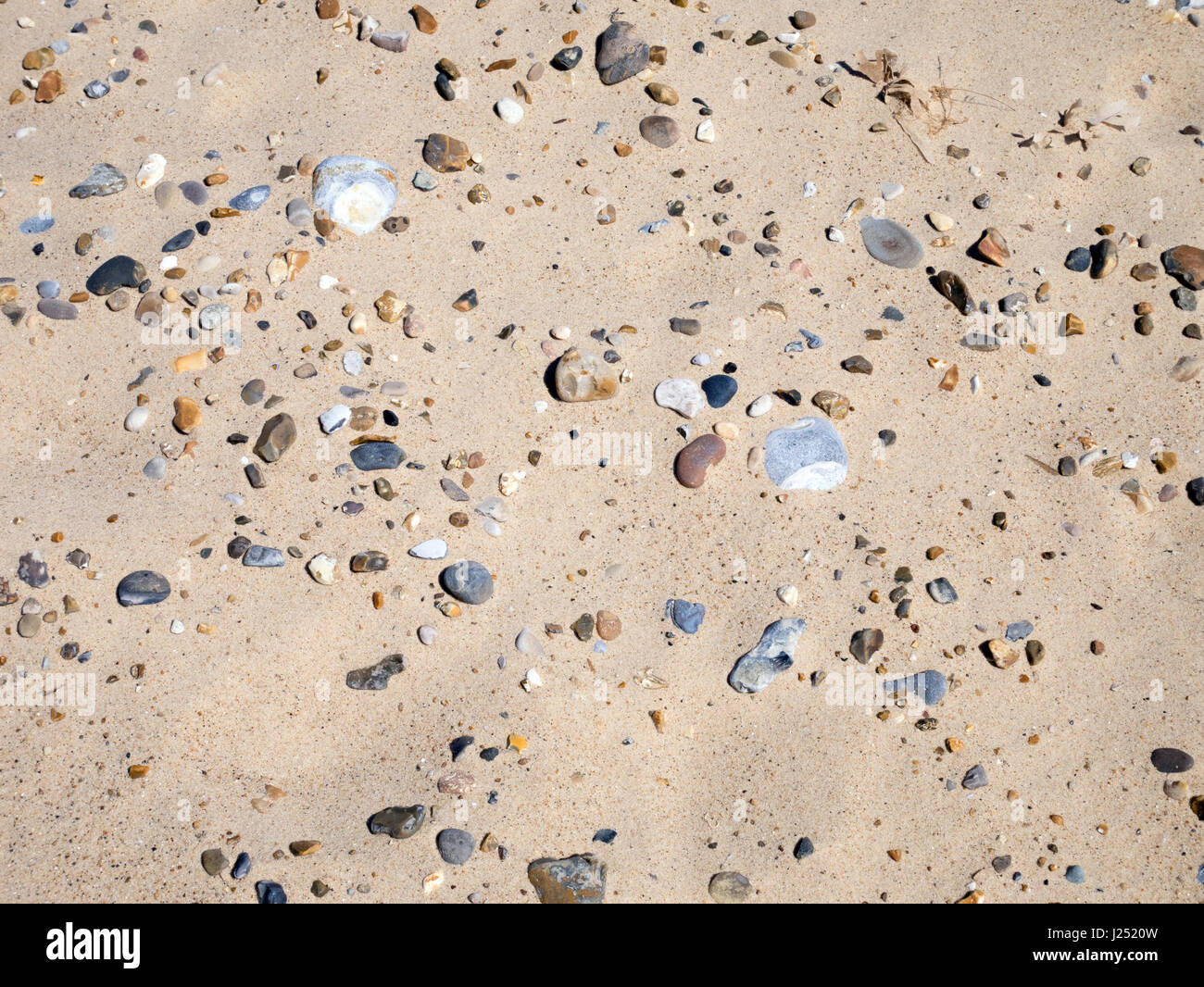 Ciottoli e pietre su una spiaggia di sabbia fine e dorata a Great Yarmouth, Norfolk, Inghilterra, Regno Unito Foto Stock
