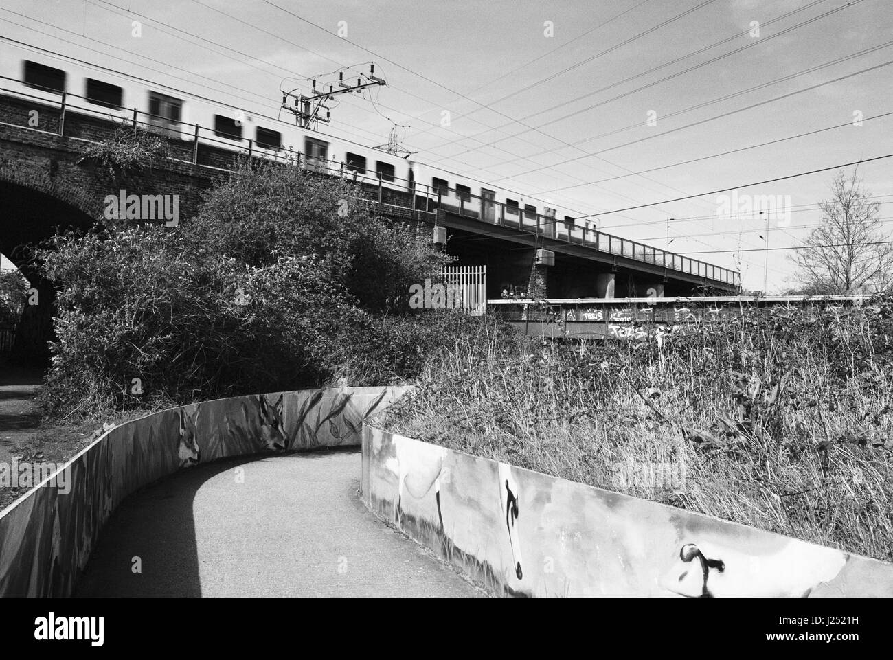 Il sentiero e il viadotto ferroviario sul Walthamstow paludi, a nord est di Londra REGNO UNITO Foto Stock