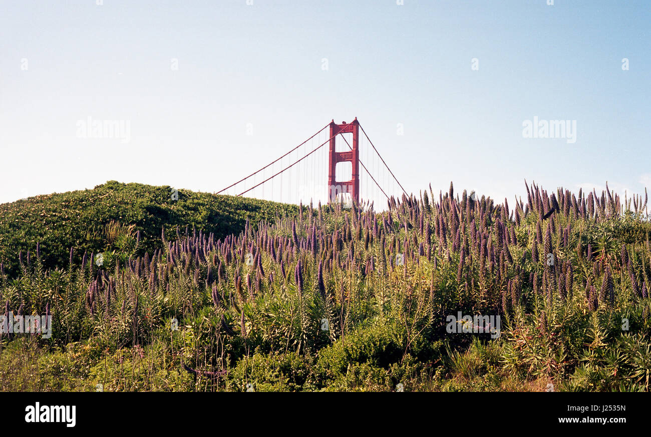 Golden Gate Bridge Foto Stock