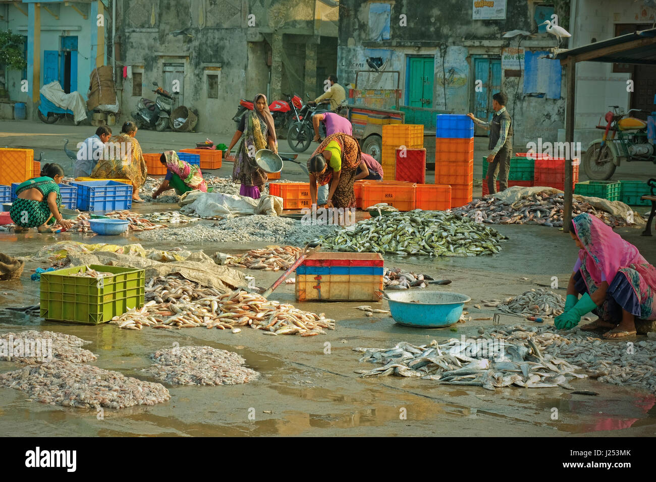 Le donne a smistare pesce sulla banchina per la vendita al mercato nelle vicinanze del porto di Vanakbara su diu isola in Gujarat, India Foto Stock