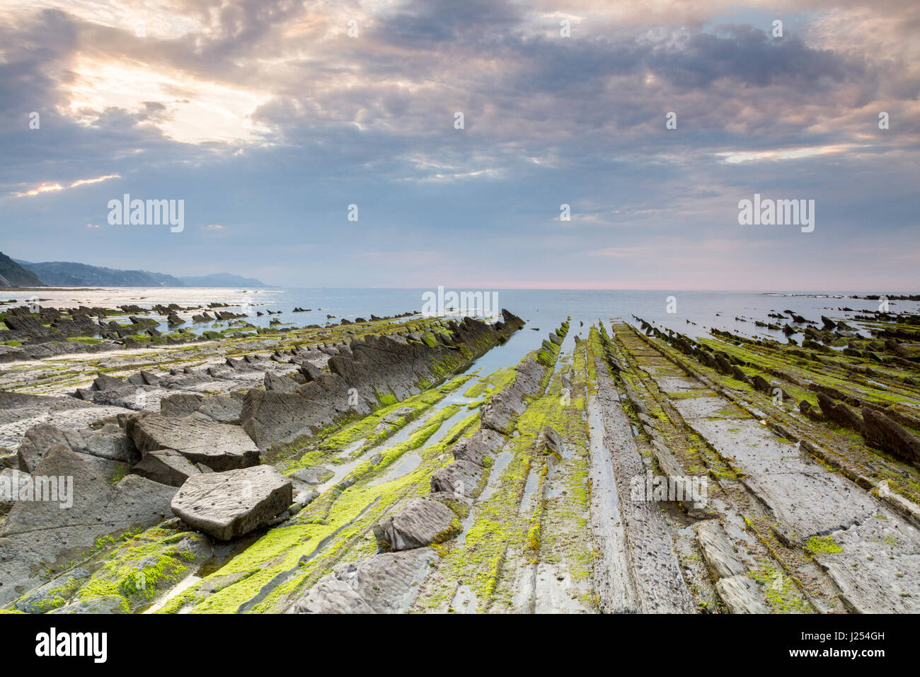 Flysch Sakoneta in spiaggia, Paese Basco Foto Stock