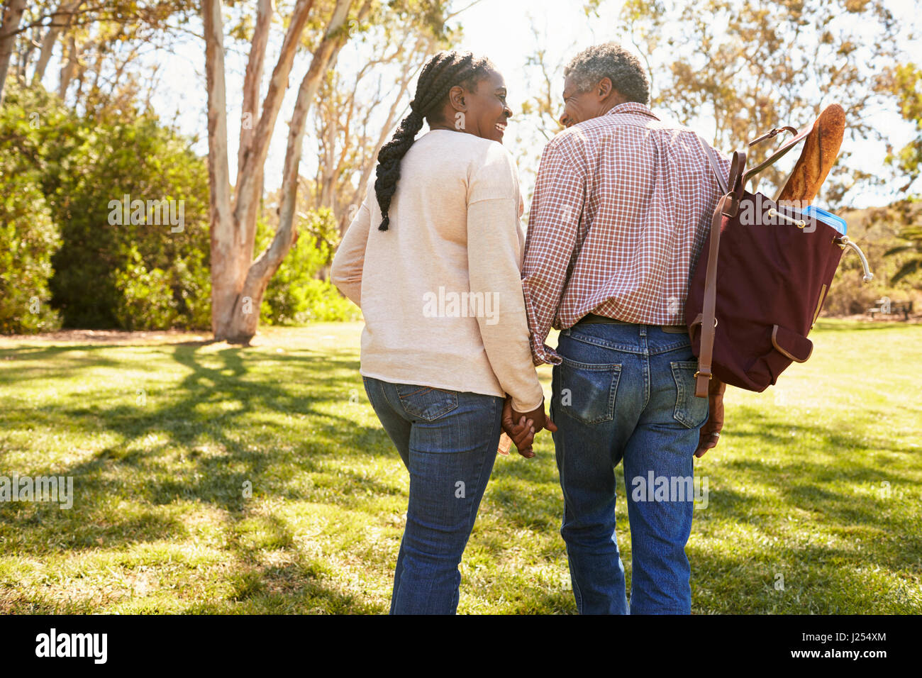 Coppia Matura andando su picnic nel parco insieme Foto Stock
