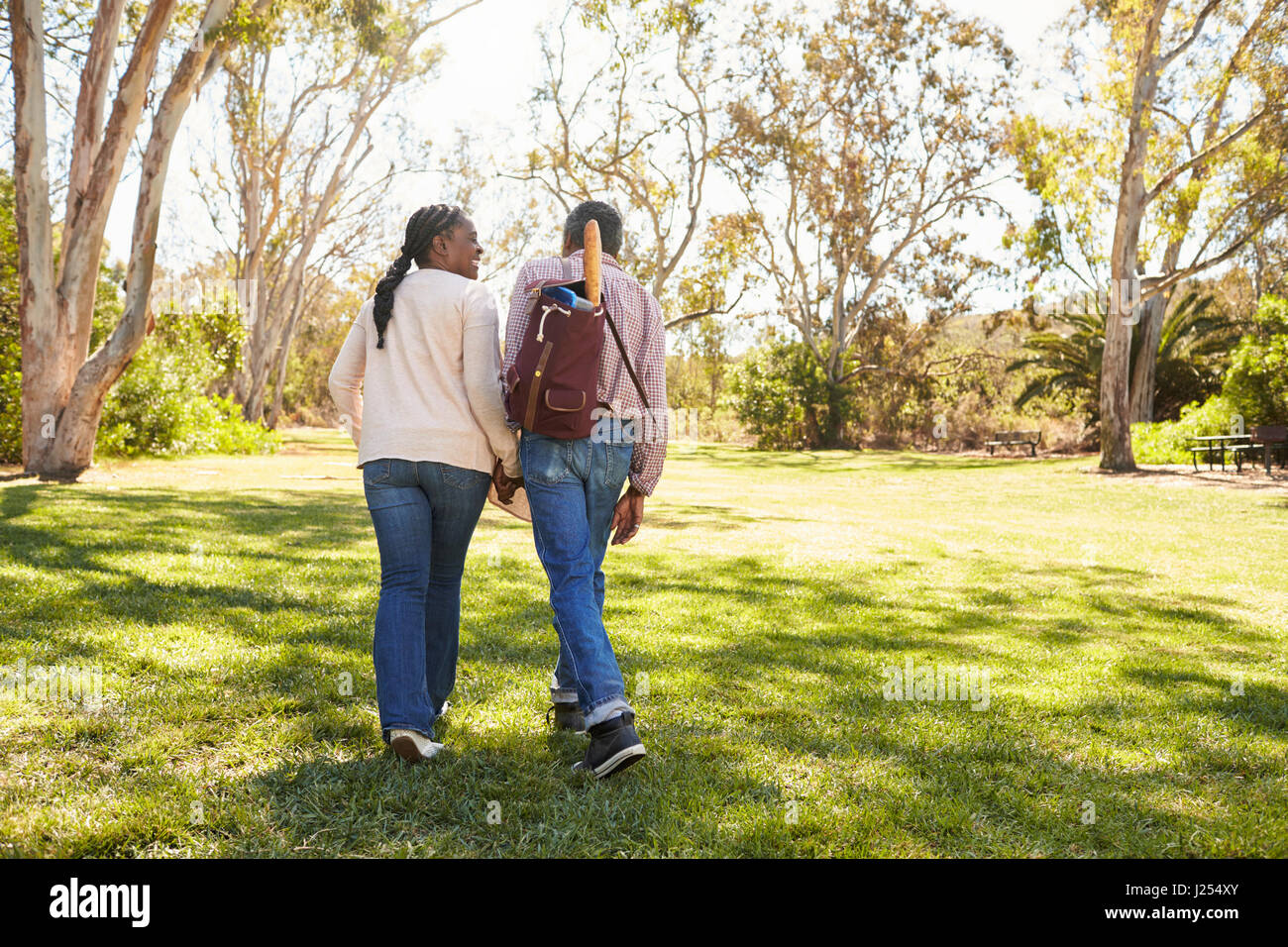 Coppia Matura andando su picnic nel parco insieme Foto Stock