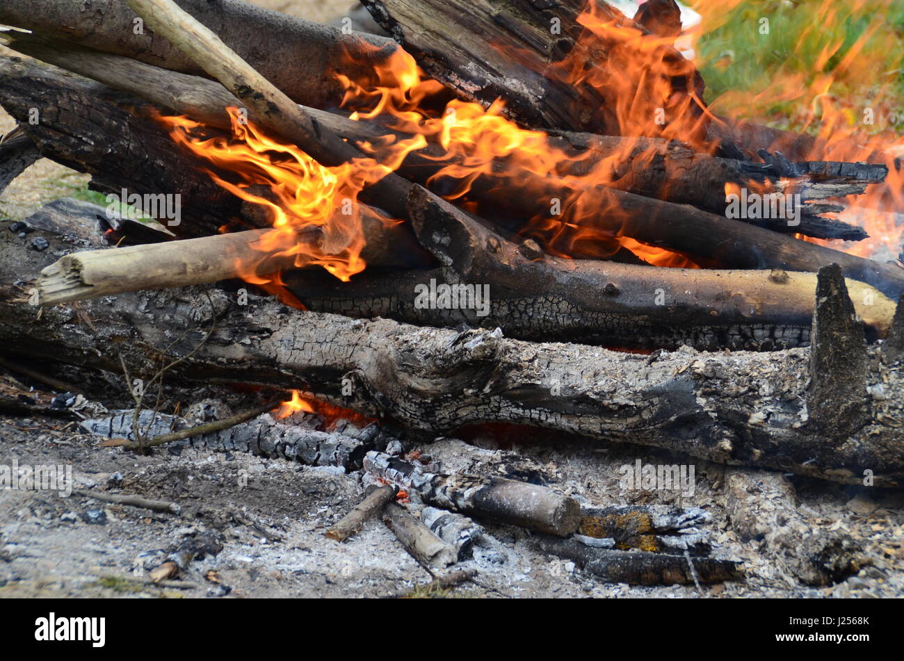 Fire - di legno bruciato Foto Stock