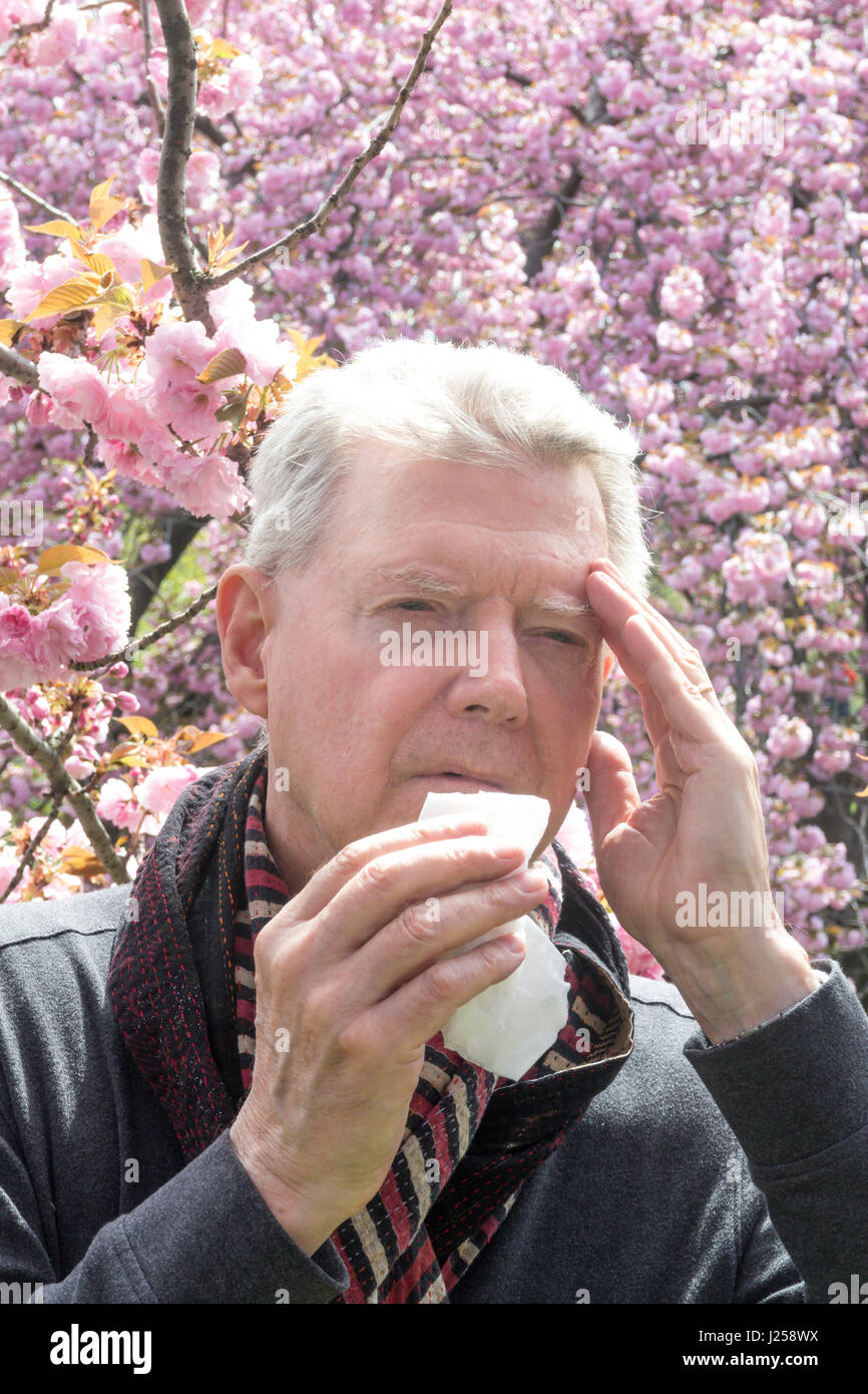 L'uomo anziano con allergie di primavera Foto Stock