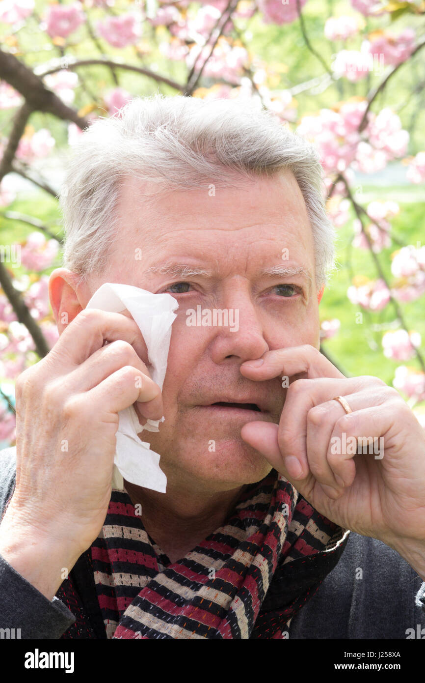 L'uomo anziano con allergie di primavera Foto Stock
