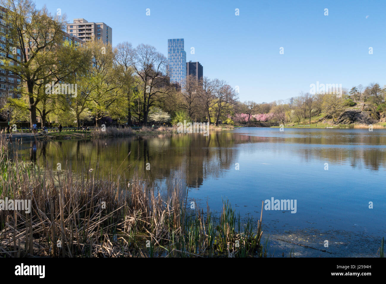 L'Harlem Meer è un piccolo specchio d'acqua situato all'estremità nord di Central Park, New York City, Stati Uniti 2017 Foto Stock