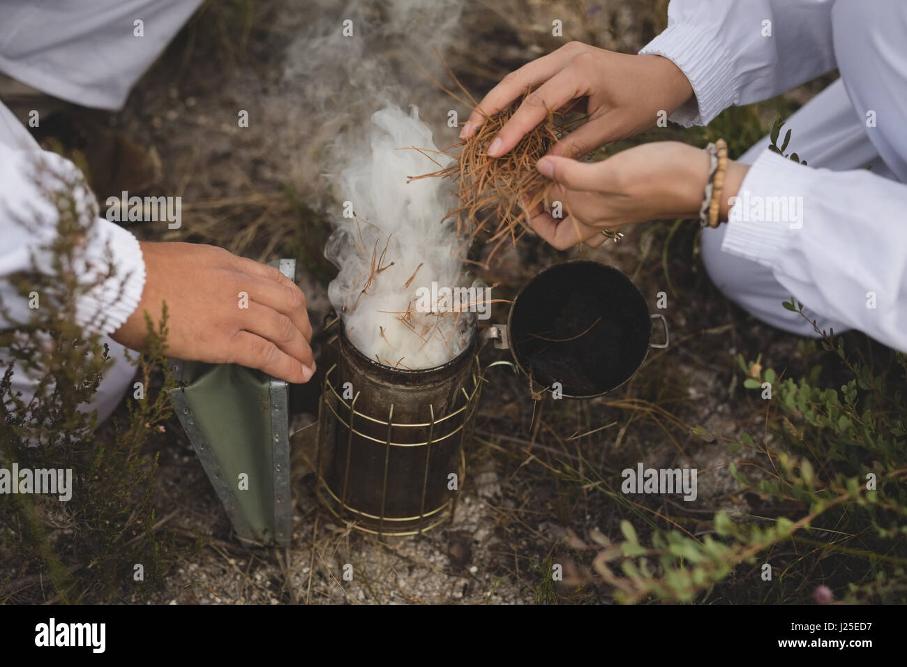 Maschio e femmina apiarists preparazione bee fumatore sul campo Foto Stock