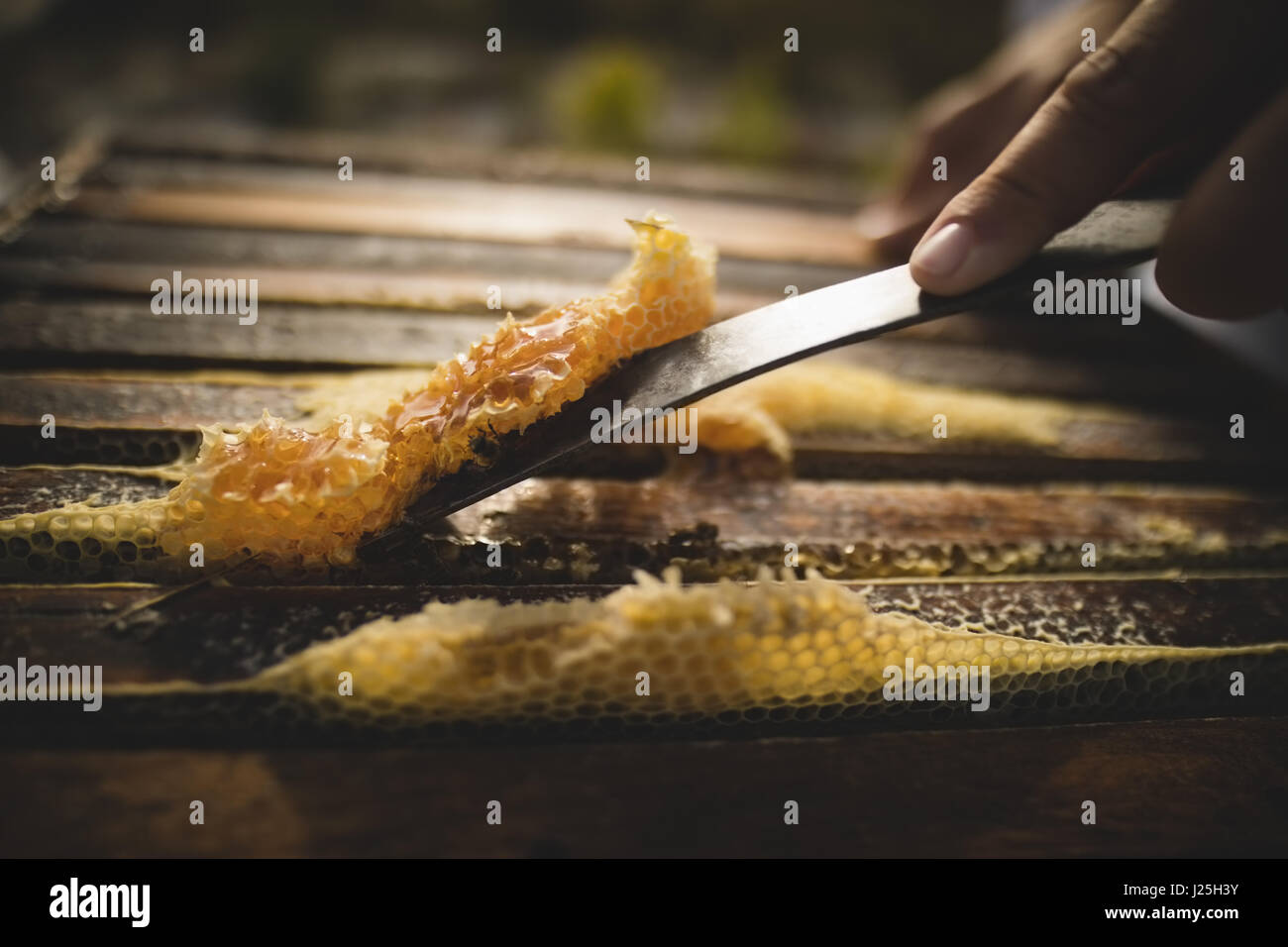 Close-up di apicoltore cera di raschiamento da honeycomb Foto Stock