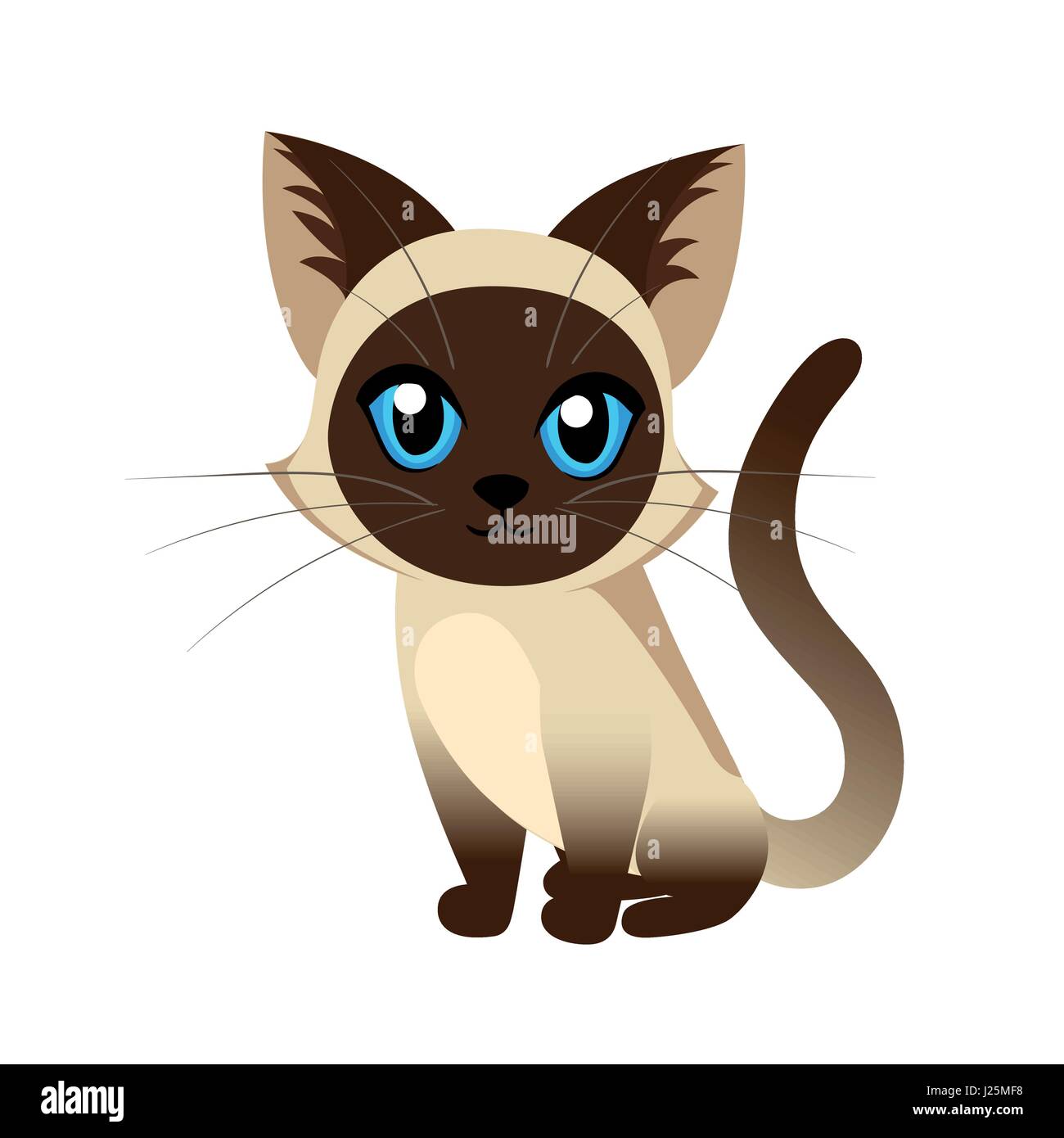 Gatto Siamese Gatto Il Delizioso Gattino Con Occhi Blu Soffici Su