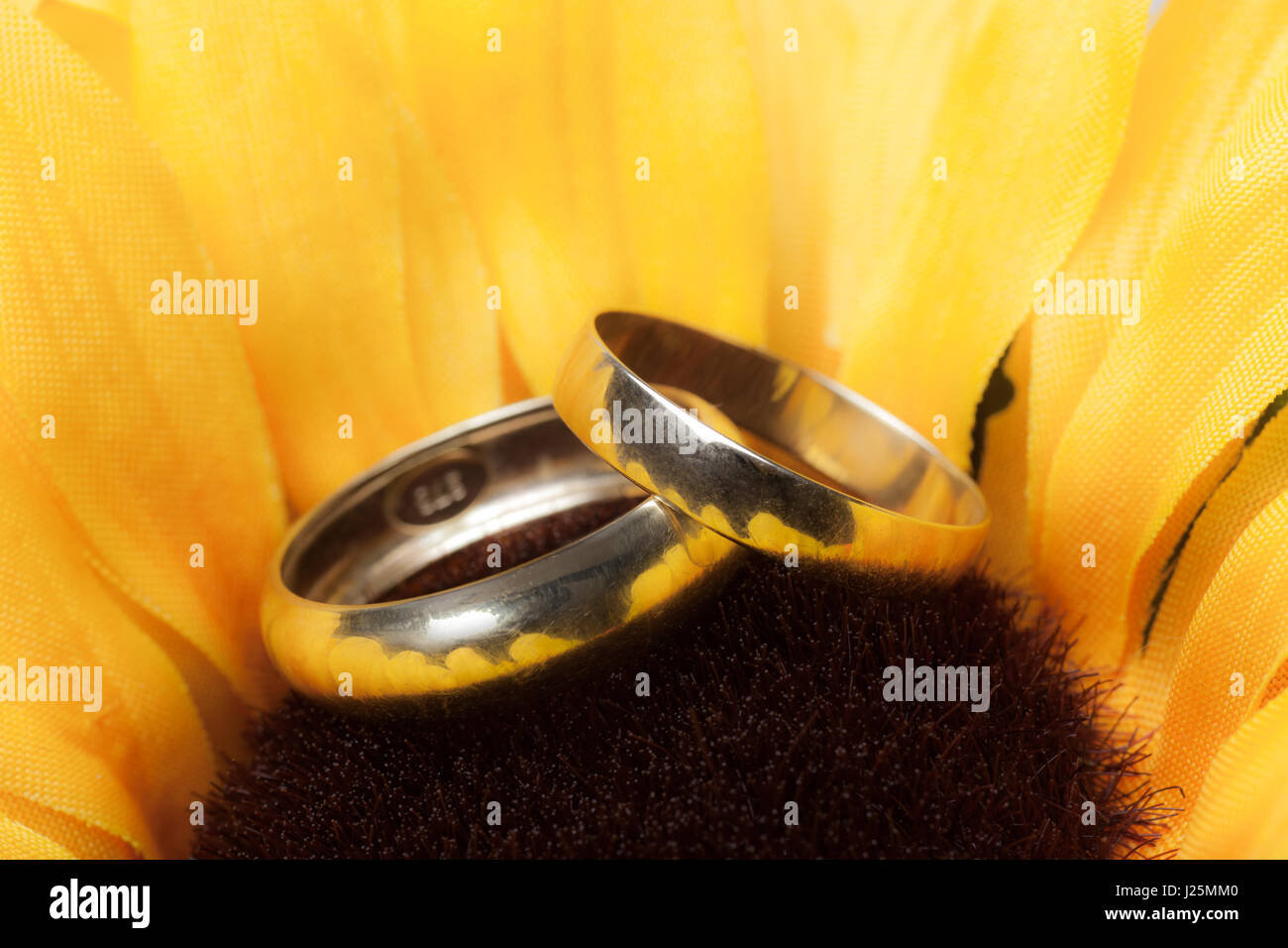 Wedding Bands su un girasole Foto Stock