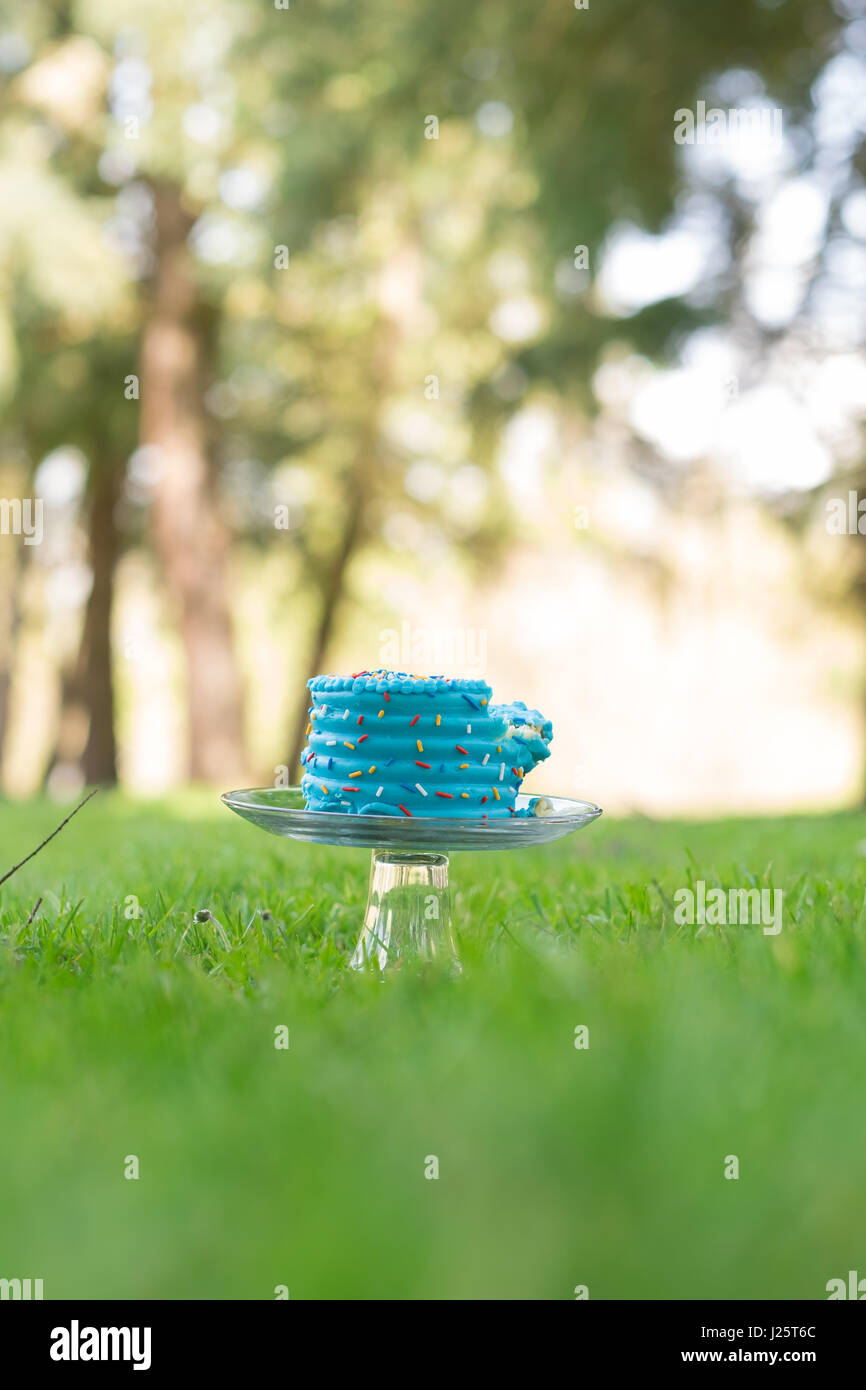 Torta blu Smash primo compleanno rimane Foto Stock