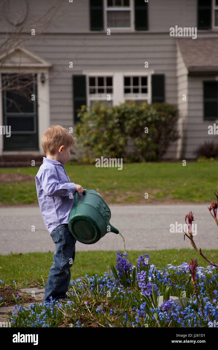 Giovane ragazzo fiori di irrigazione nel cortile anteriore Giardino Foto Stock