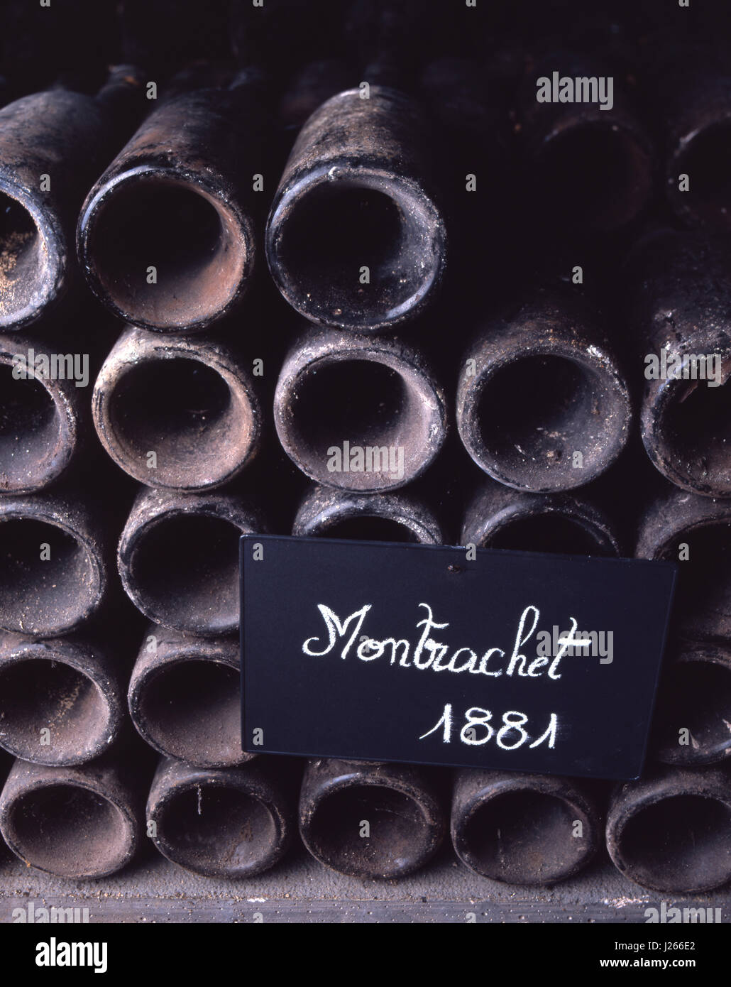 Montrachet 1881 vecchio rari polverose bottiglie regolarmente ri-corked e degustati nelle cantine di Louis Jadot, Beaune, Borgogna, Côte d'Or, Francia. Foto Stock