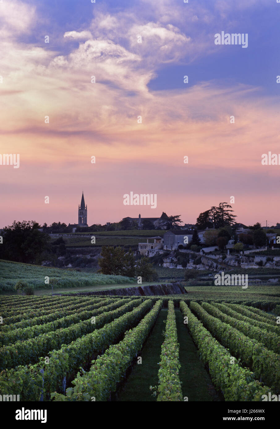 SAINT EMILION town & vigne Château Troplong-Mondot con la guglia della chiesa e il centro del villaggio, oltre al tramonto St-Émilion Gironde, Francia. Bordeaux Foto Stock