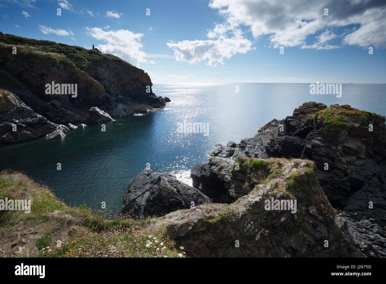 Cadgwith Cove. La lucertola. La Cornovaglia. Regno Unito. Foto Stock