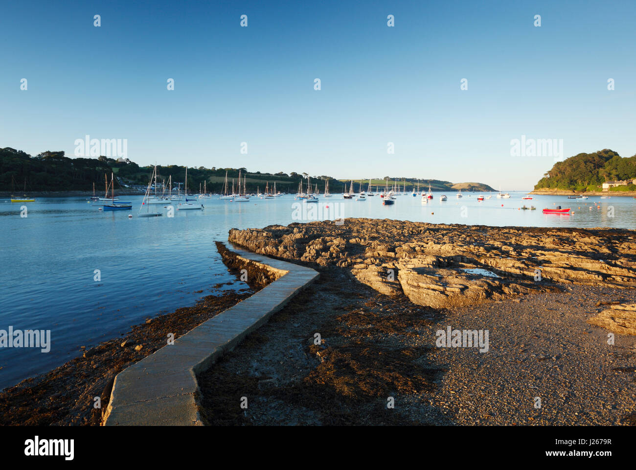 Fiume Helford. La Cornovaglia. Regno Unito. Foto Stock