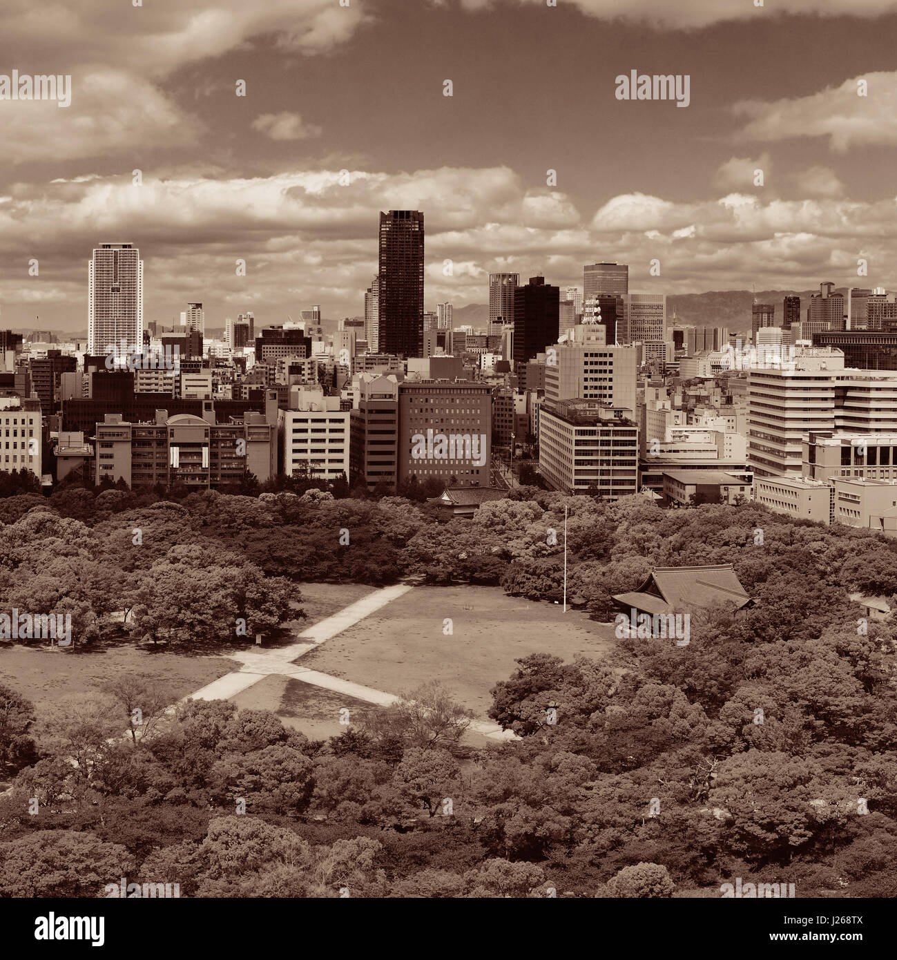 Osaka città urbana parco vista sul tetto. Il Giappone. Foto Stock