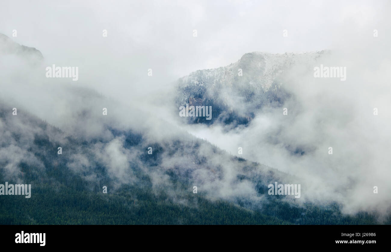 Il parco nazionale di Banff foggy montagne e foreste in Canada. Foto Stock