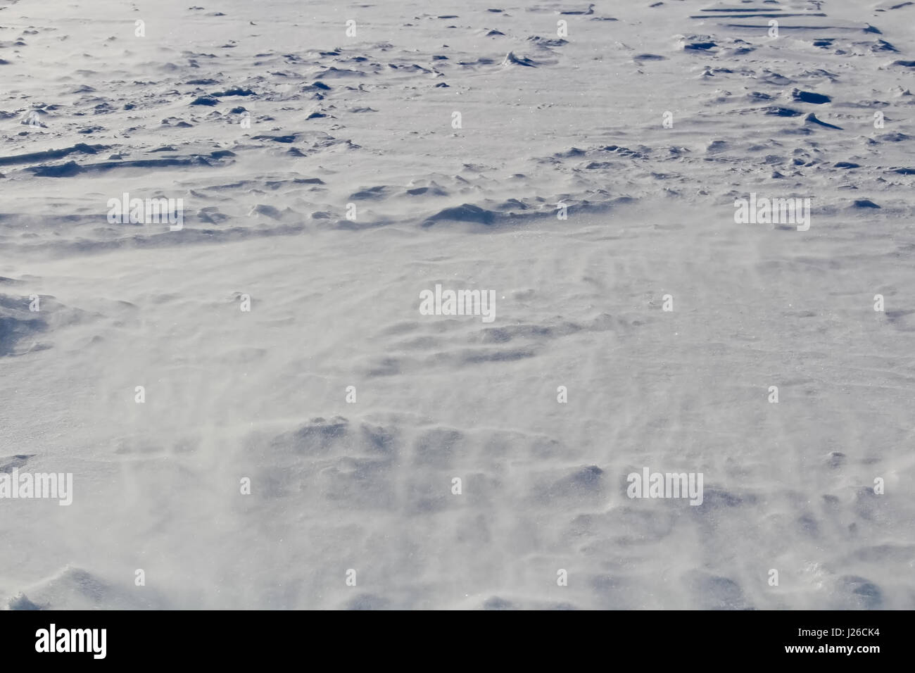 Tempesta di neve Creeping lungo un campo aperto. Foto Stock
