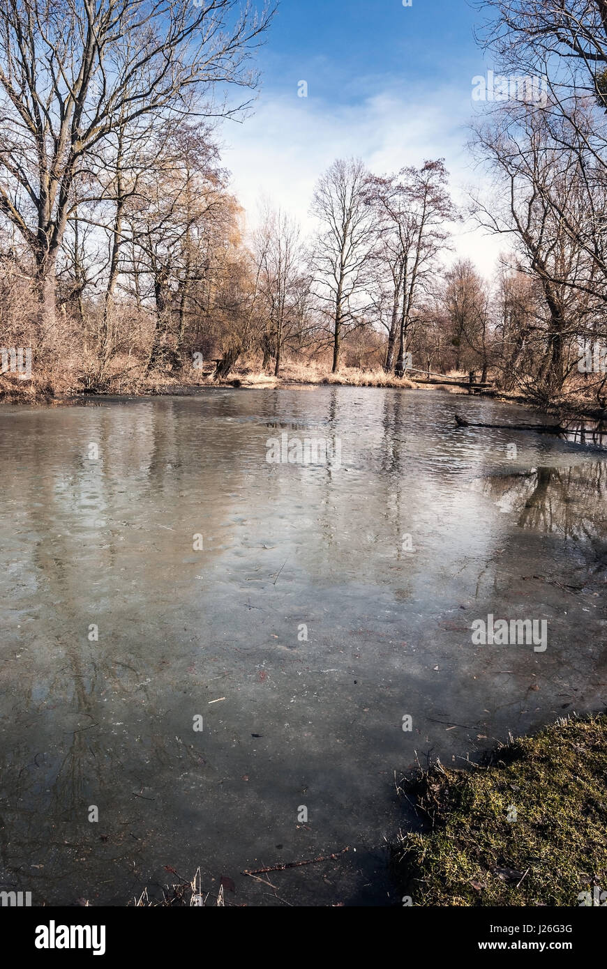 Parzialmente congelato slanaky lago fiume con alberi e cielo blu a inizio primavera chko poodri vicino studenka città in Repubblica ceca Foto Stock