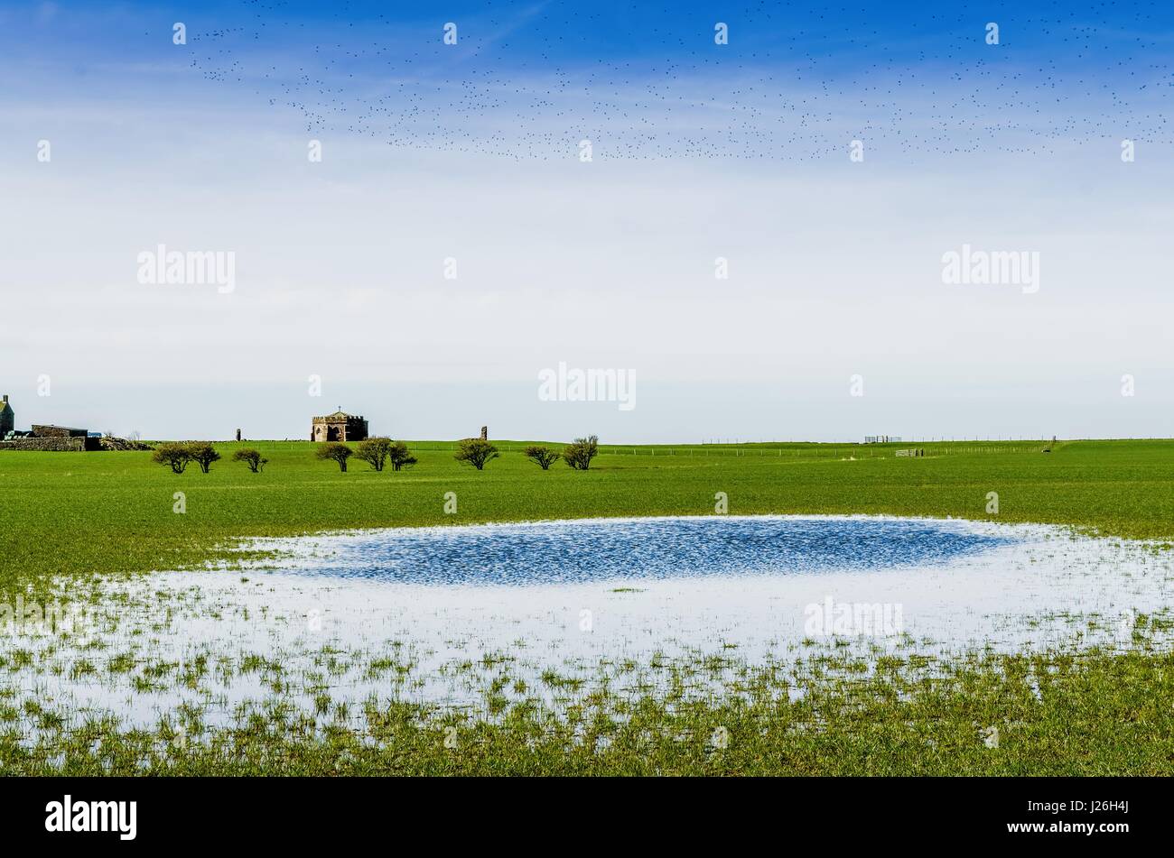 Una vista in lontananza Cockersand Abbey con campi flodded. Foto Stock