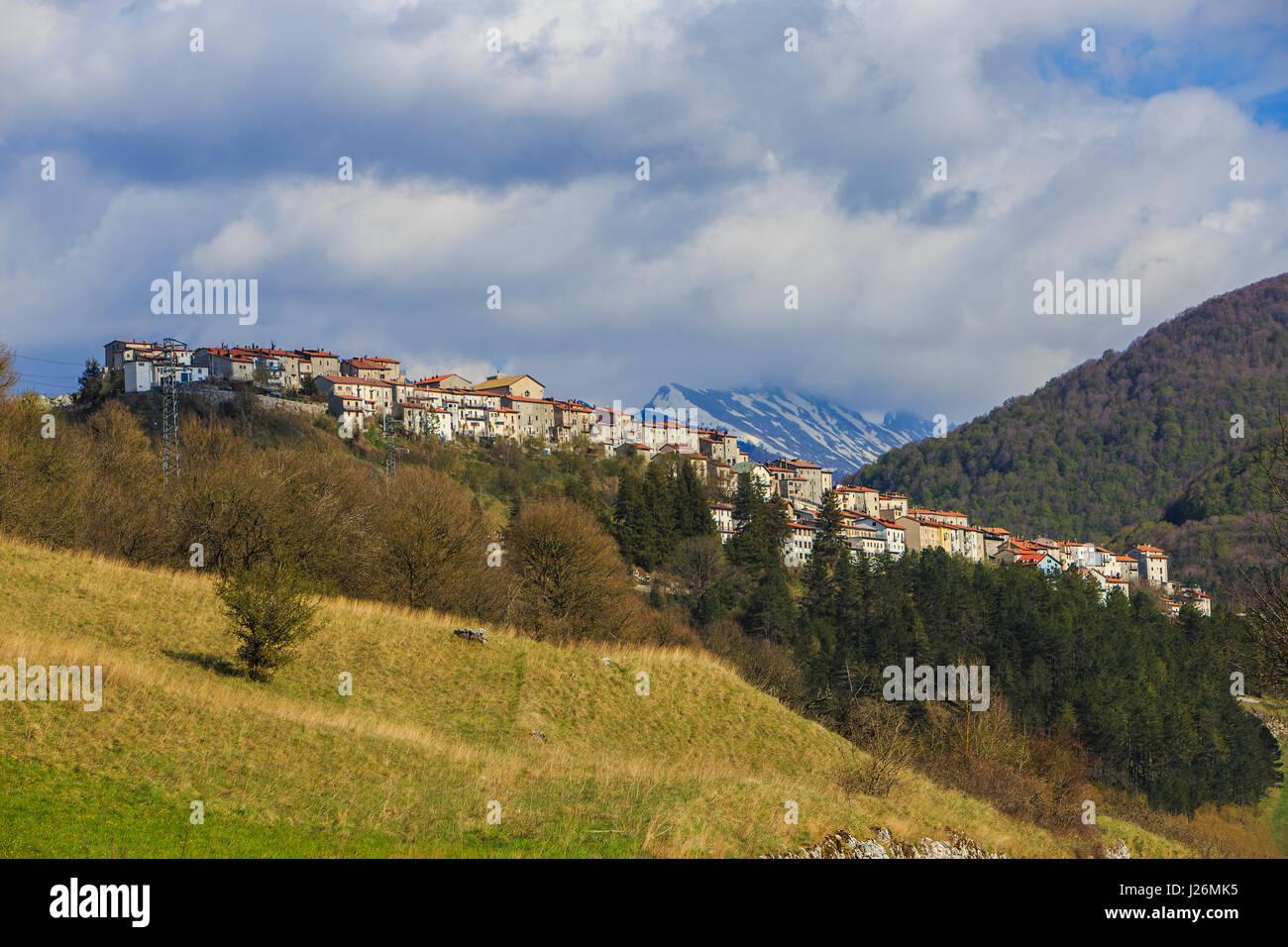 Opi nel Parco Nazionale d'Abruzzo in Italia Foto Stock