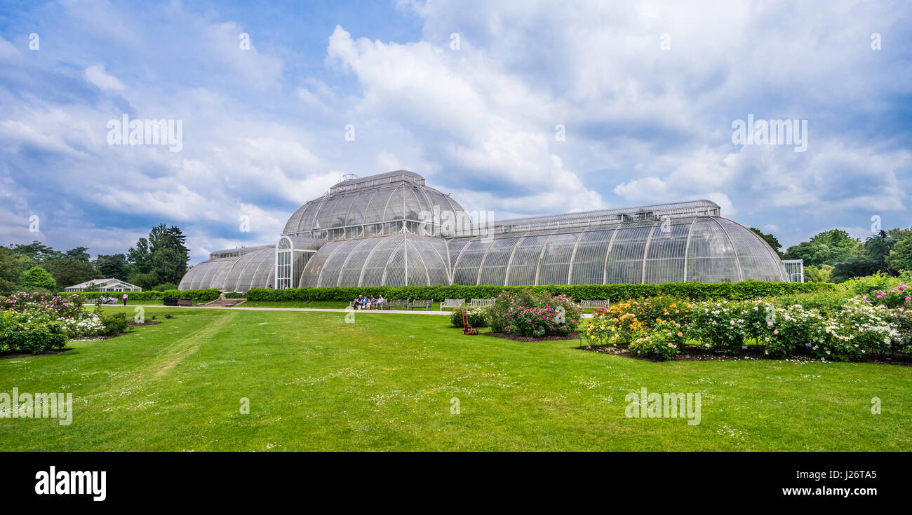 Gran Bretagna, Inghilterra, Kew Gardens in London Borough of Richmond upon Thames, Giardino di Rose e la Casa delle Palme Foto Stock