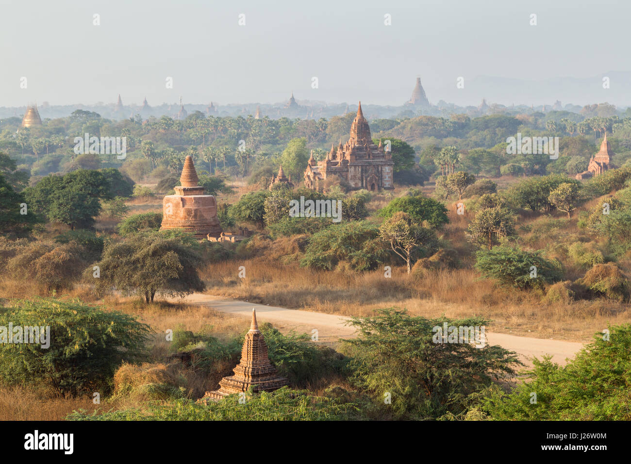 Vista panoramica di molti templi e pagode nella antica pianura di Bagan in Myanmar (Birmania), al mattino. Foto Stock