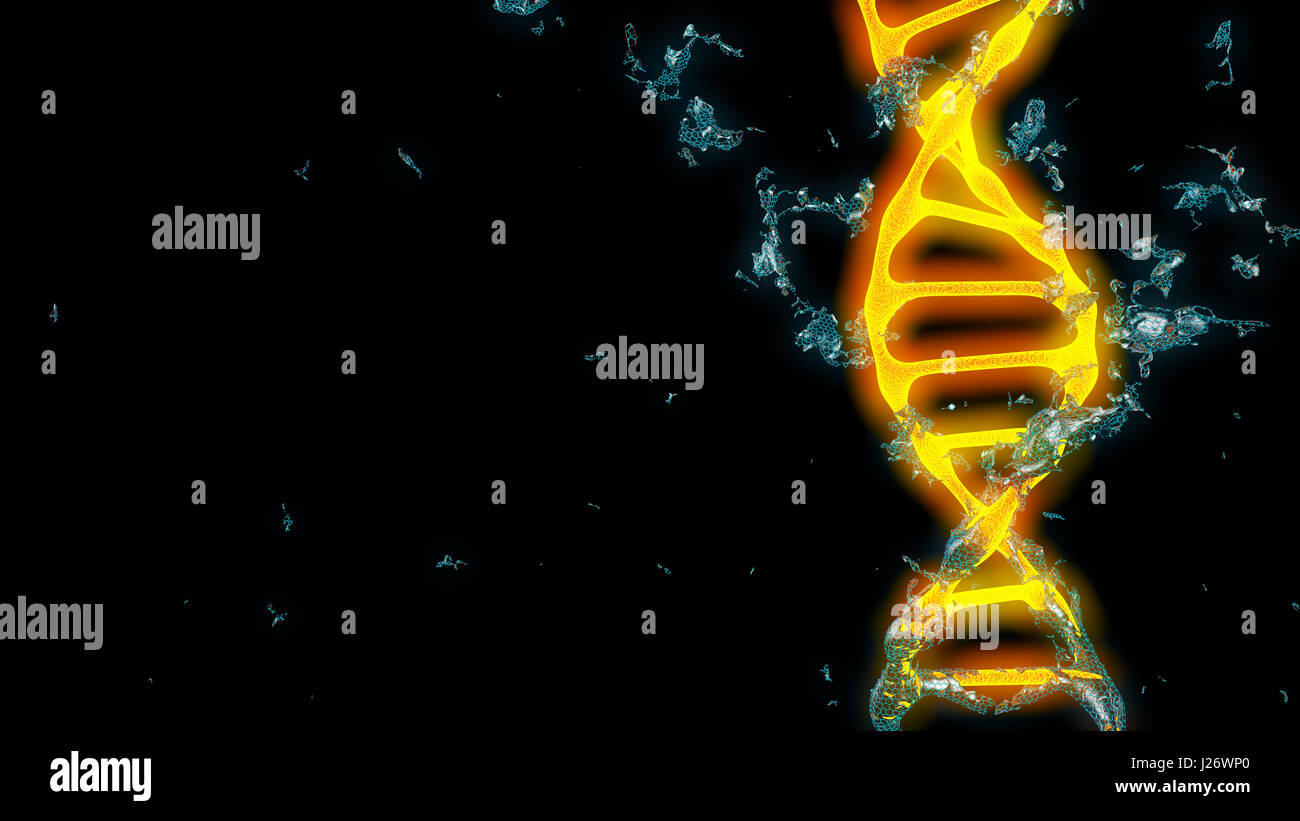 DNA cromosomico gene. 3D render macro. Sfondo Foto Stock
