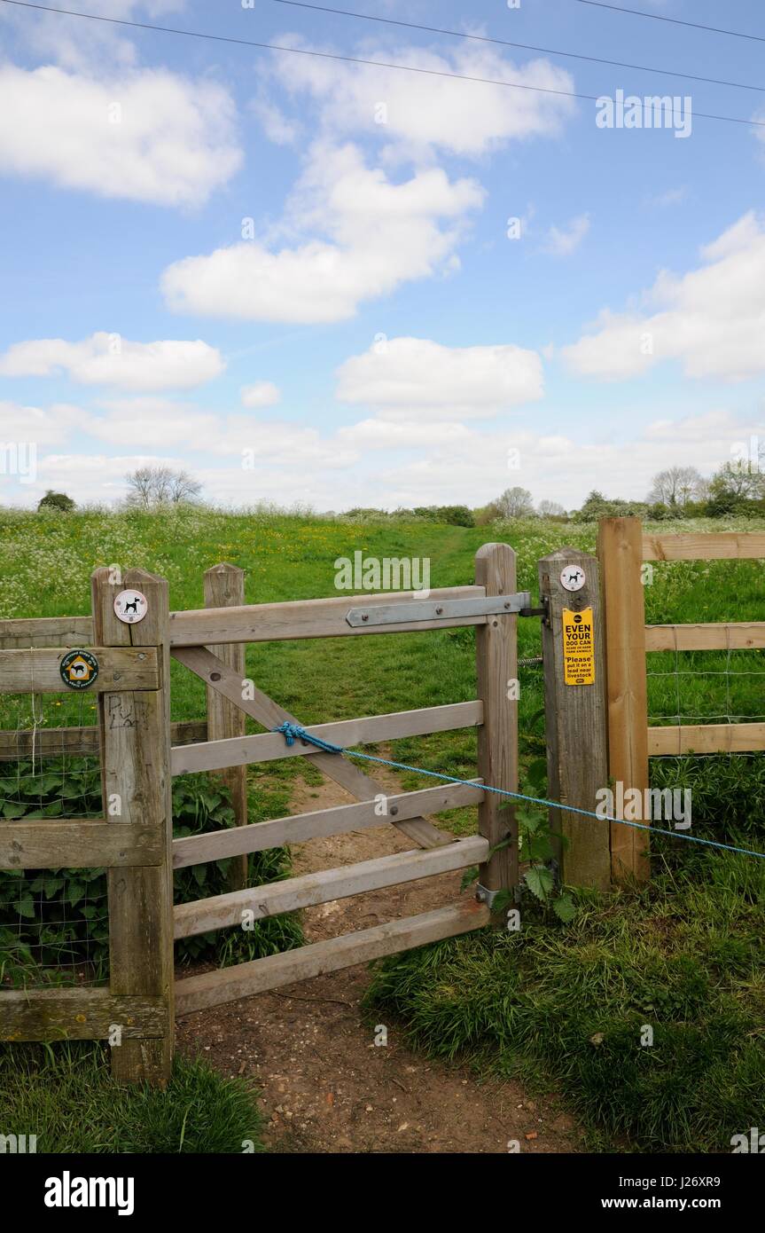 Maulden Church Meadows. Maulden, Bedfordshire, Prato che è designato un sito di particolare interesse scientifico. Foto Stock