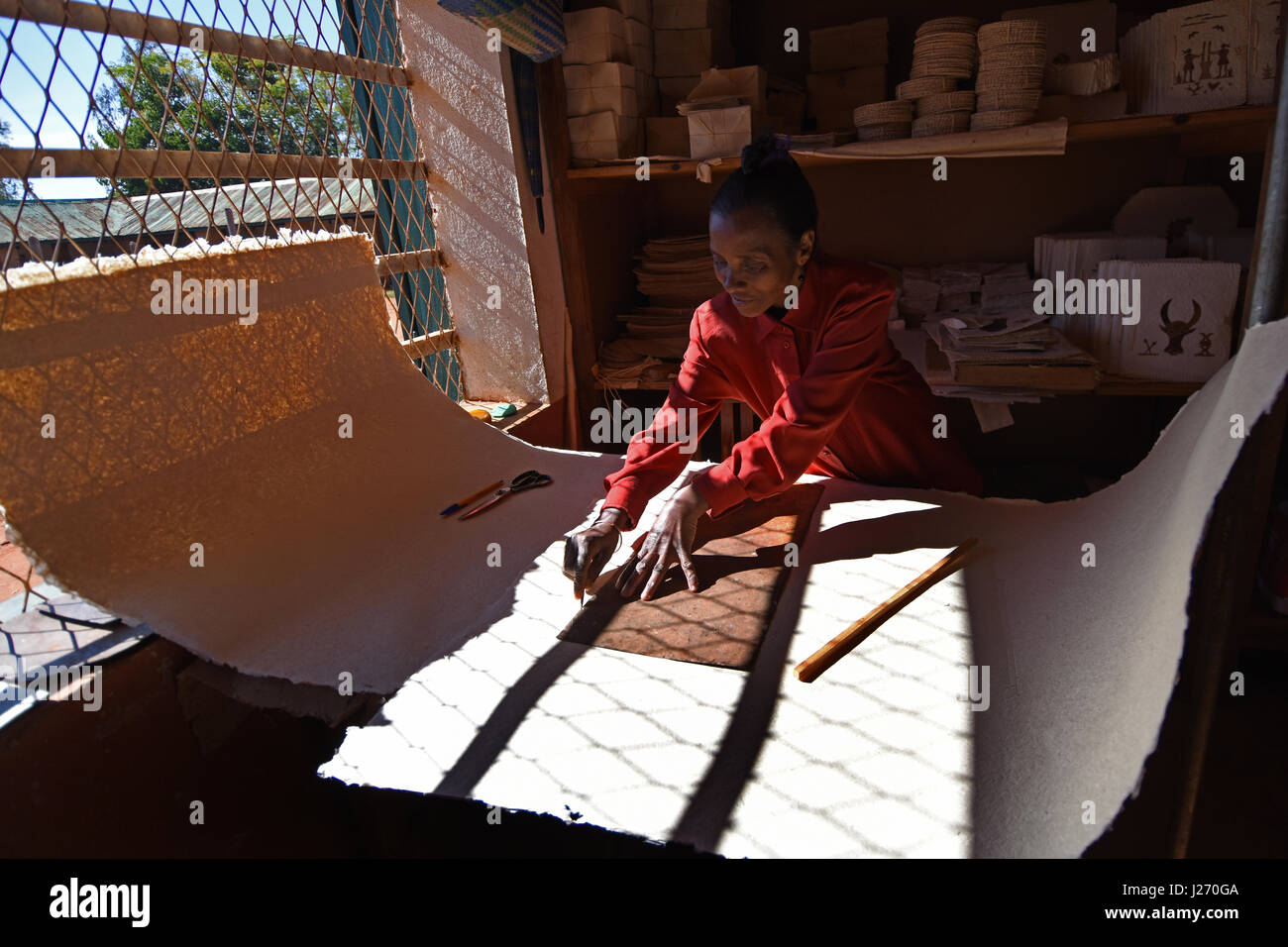 Una donna di taglio di un foglio di carta fatta a mano in carta-making facility in Ambalavao Madagascar; prodotti cartacei finiti su un ripiano dietro di lei Foto Stock