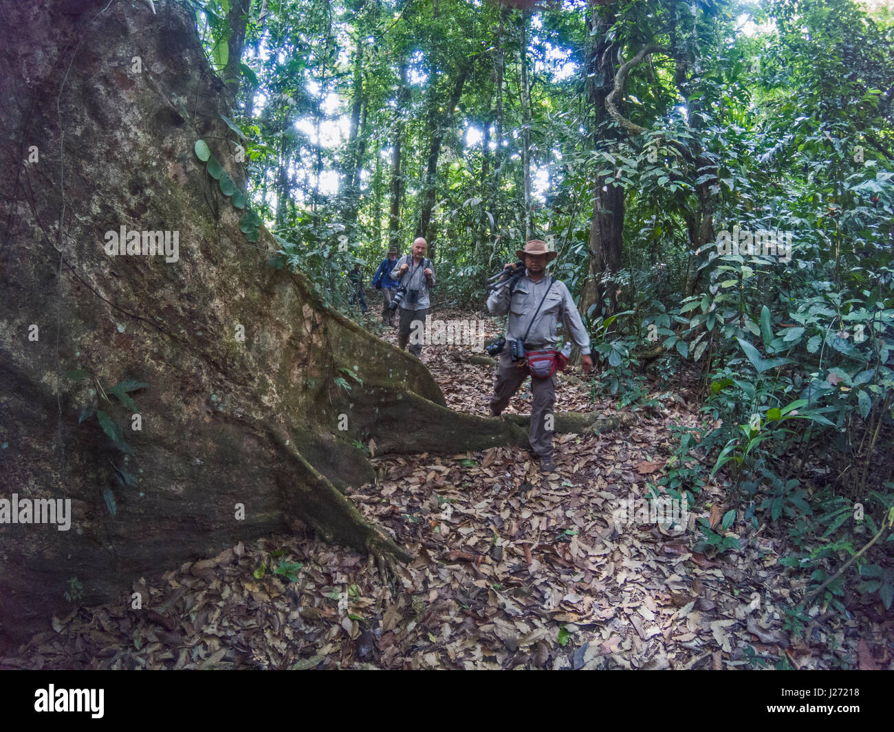 Camminando sul sentiero attraverso Darién Parco Nazionale di Panama Foto Stock