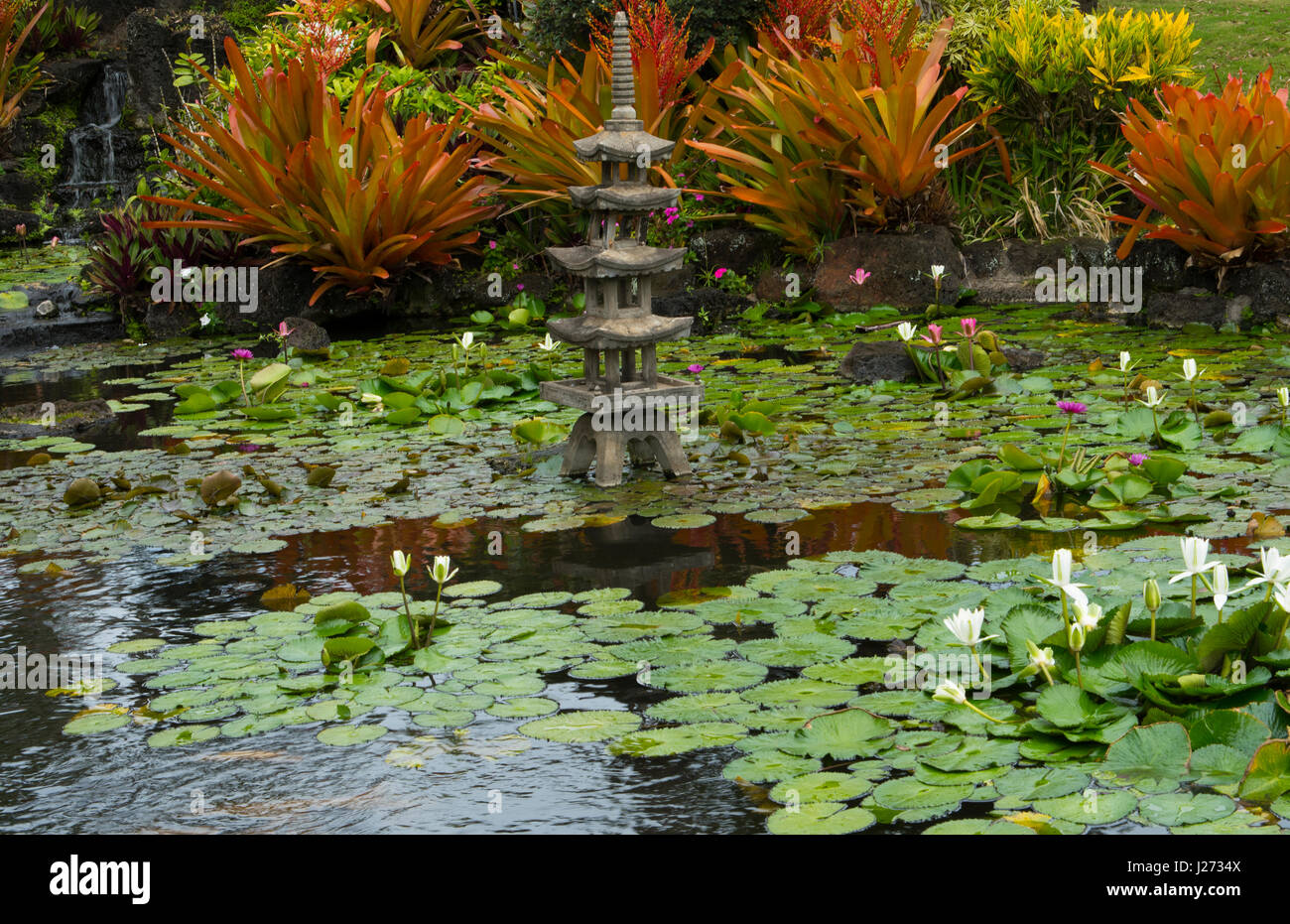 Kapaa Kauai Hawaii lillies acqua laghetto in giardino giapponese Foto Stock