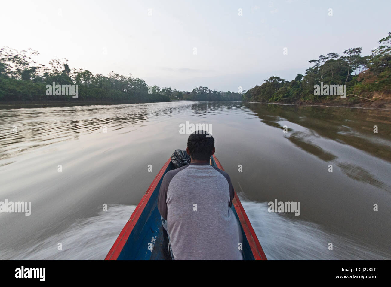 Voce nel profondo del Darién Parco Nazionale lungo il fiume Chucunaque all'alba in cerca dell'Arpia Aquila, Panama Foto Stock