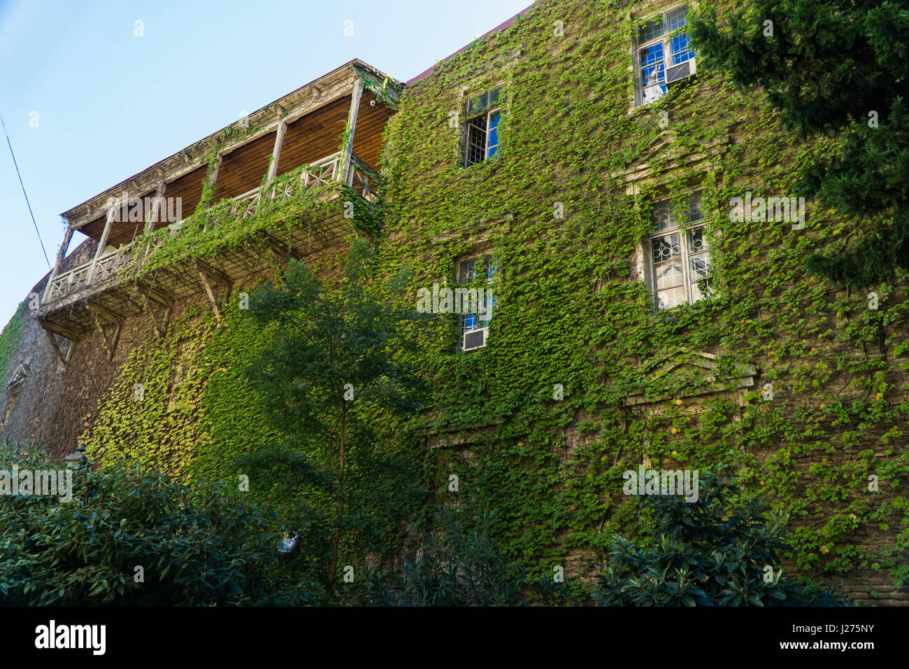 Casa con balcone, ricoperta uva selvatica nella città vecchia. Tbilisi, Georgia Foto Stock