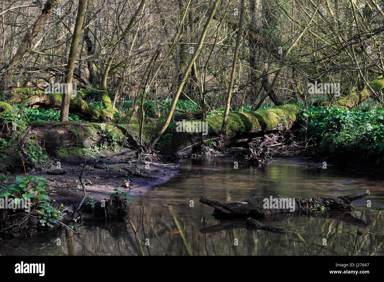 Lymm Dam, Warrington, Cheshire, Inghilterra nordoccidentale, REGNO UNITO Foto Stock