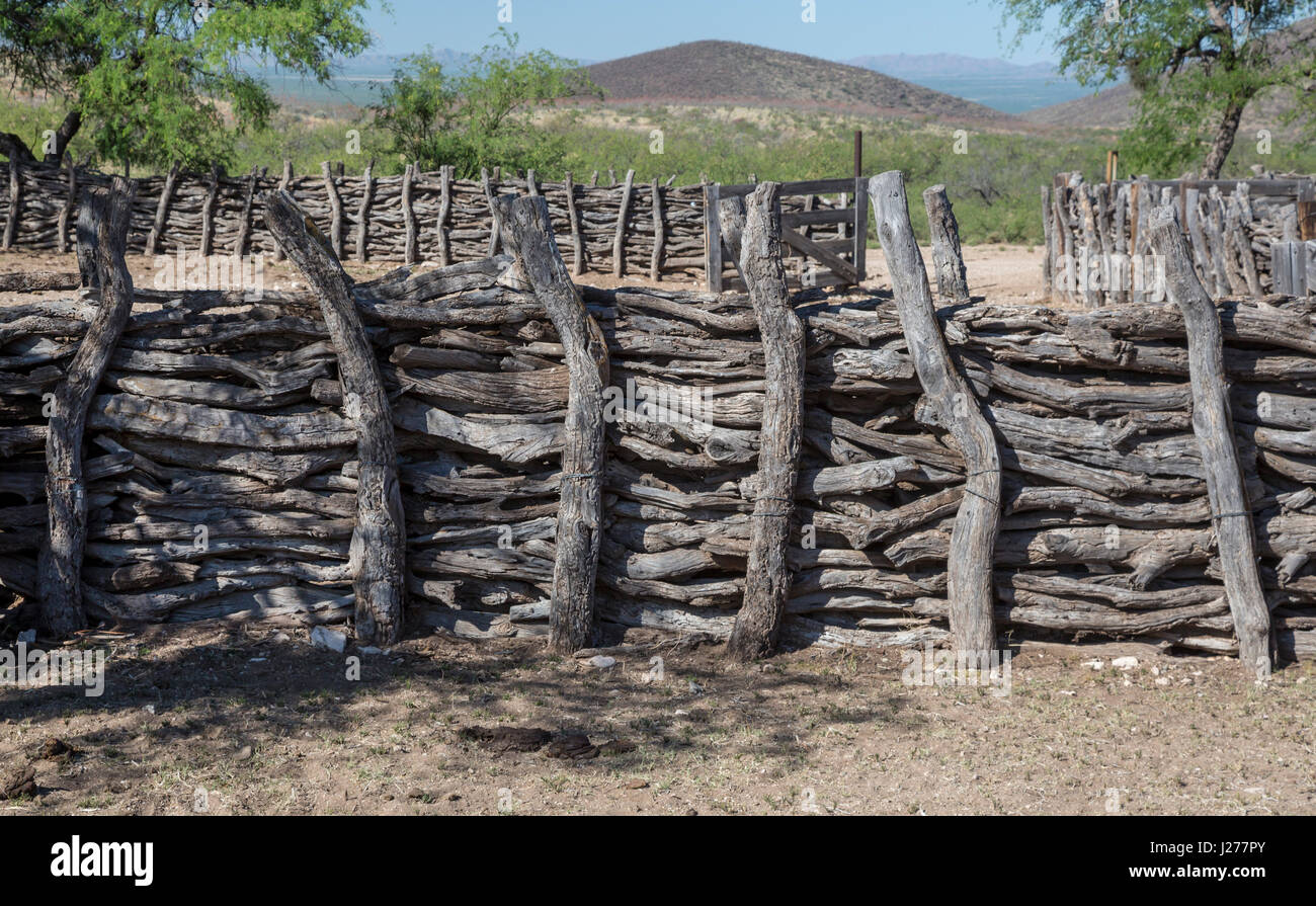 Tucson, Arizona - un recinto utilizzato dagli allevatori di bestiame nel Deserto di Sonora a sud-ovest di Tucson. Foto Stock