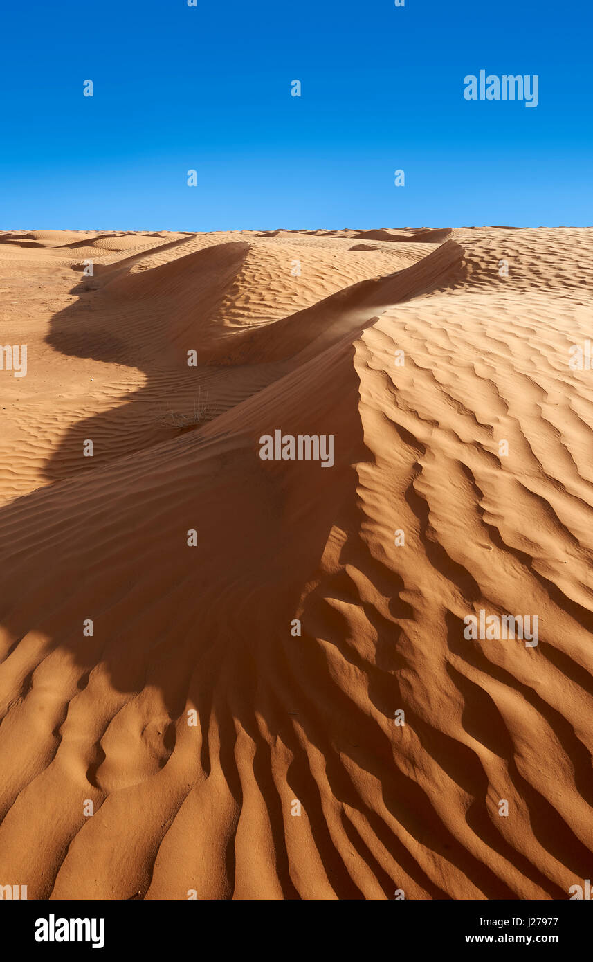 Il deserto del Sahara dune di sabbia di Erg Orientale nei pressi dell'oasi di Ksar Ghilane, Tunisia, Africa Foto Stock