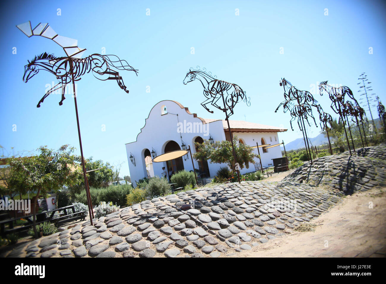 La Valle De Guadelupe, Baja California, Messico. 6 apr, 2017. Guadelupe Adobe nella Valle de Guadelupe vino messicano regione su Mercoledì, 5 aprile 2017. Credito: Sandy Huffaker/ZUMA filo/Alamy Live News Foto Stock