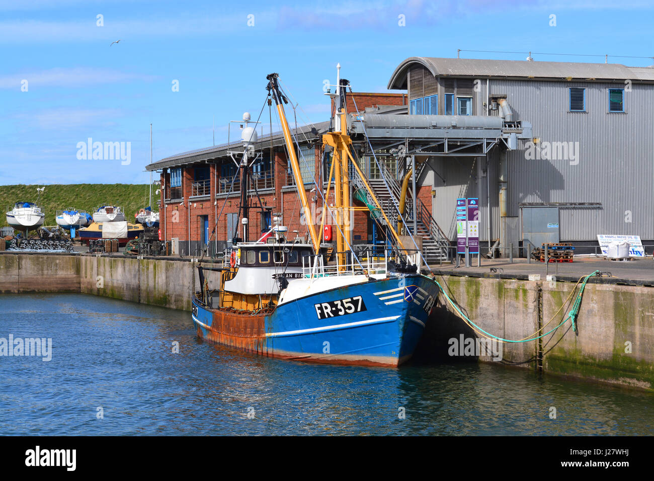 Trawler a Eyemouth Harbour Foto Stock