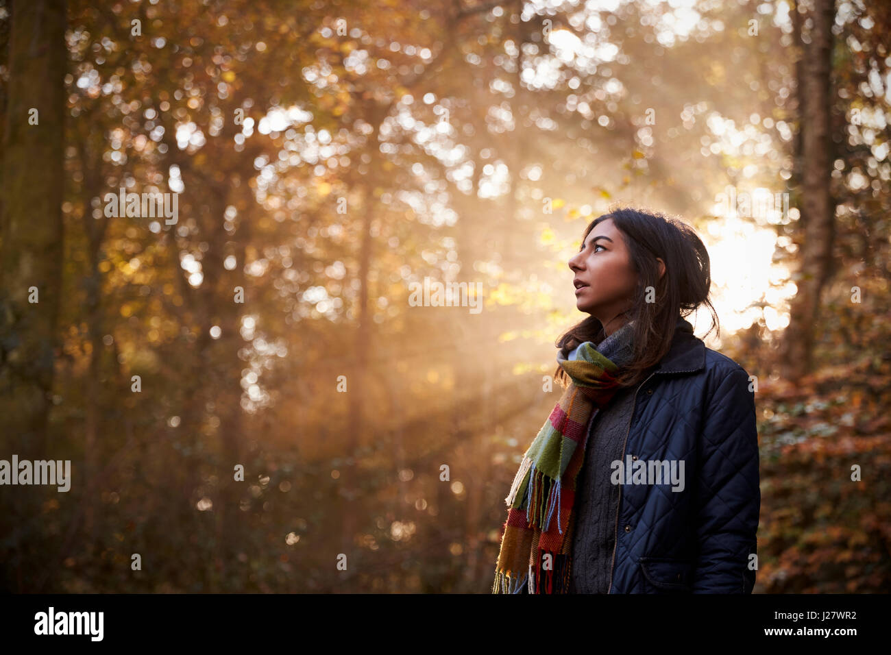 Donna cammina nel bosco in autunno con il sole che splende attraverso gli alberi Foto Stock