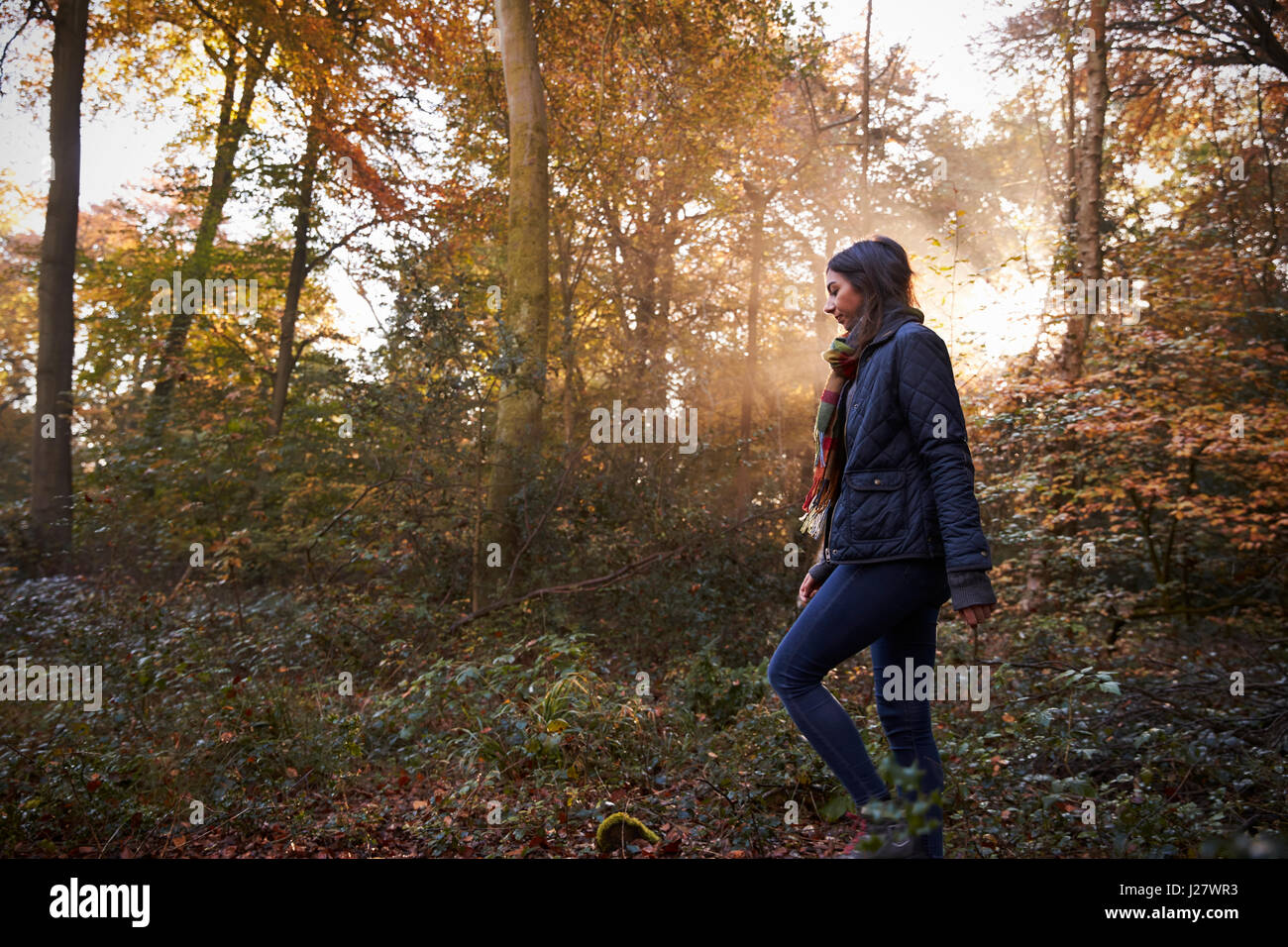 Donna cammina nel bosco in autunno con il sole che splende attraverso gli alberi Foto Stock