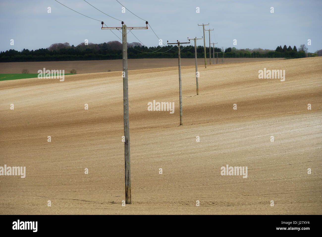 Pali del telegrafo a Bygrave Foto Stock