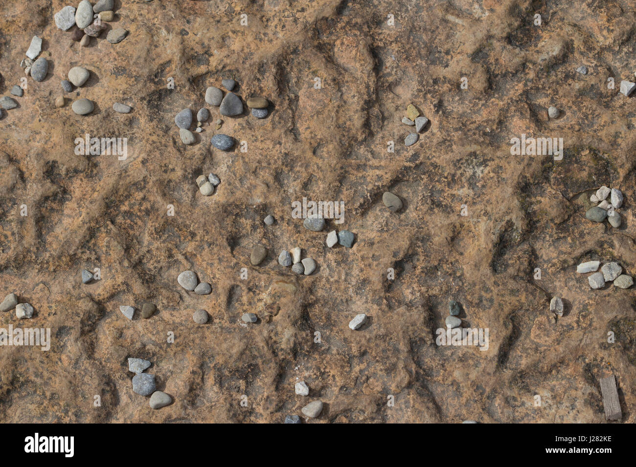 Rocce o ghiaia texture fotografato all'esterno. Foto Stock