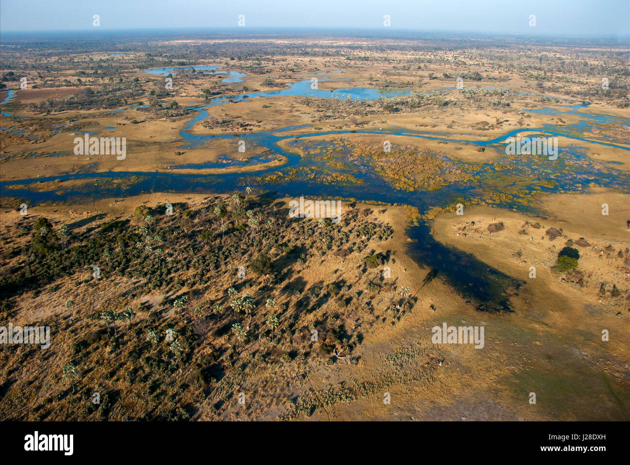 Vista aerea del delta dell'Okavango, Botswana Foto Stock