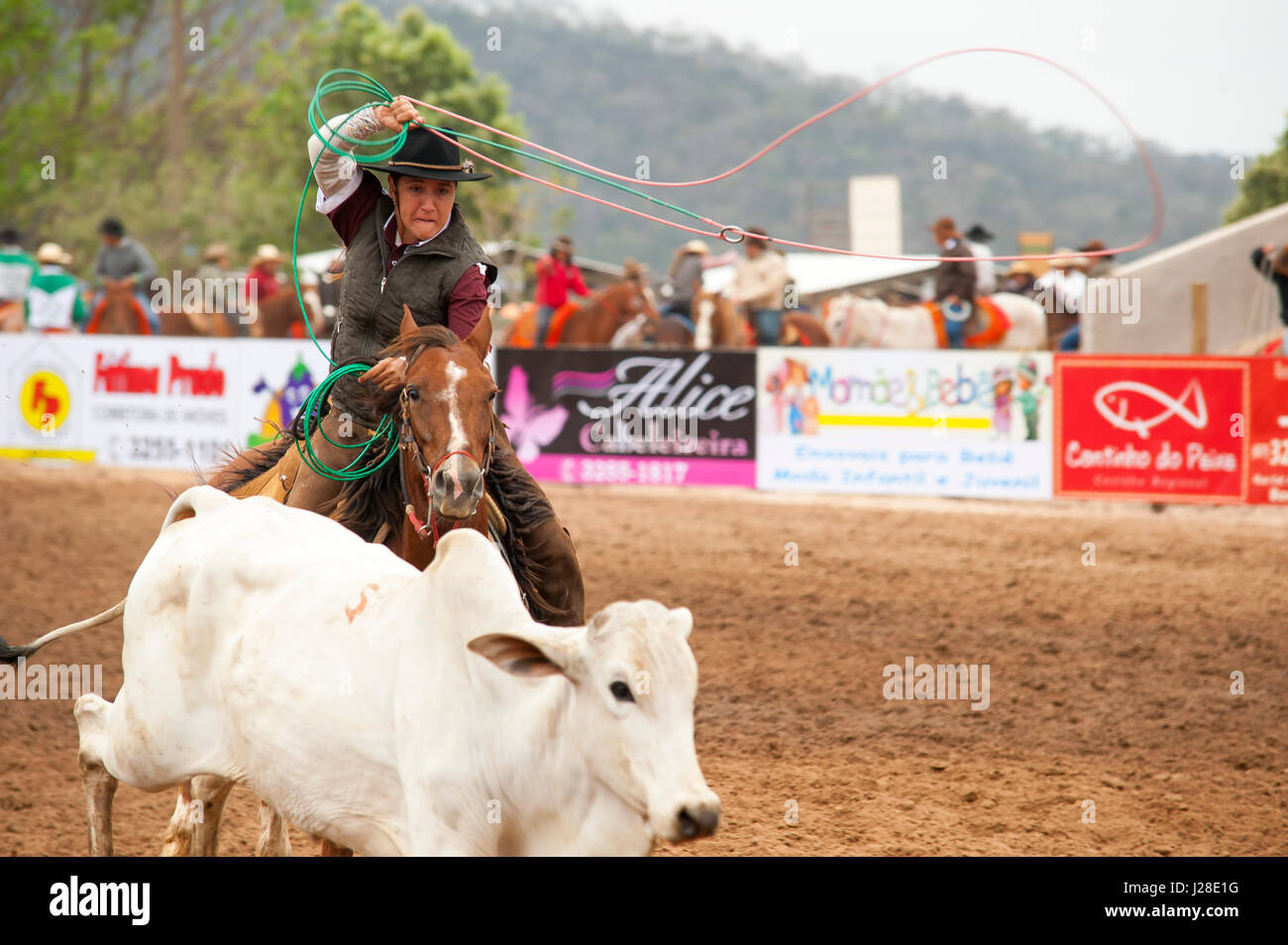 Il Rodeo è un passatempo molto diffuso nel Mato Grosso do Sul, Bonito, città del Brasile Foto Stock