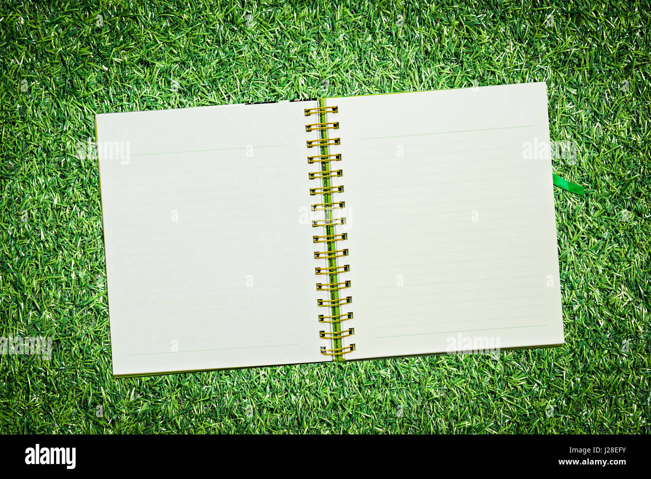 Spirale notebook in pelle di erba Foto Stock