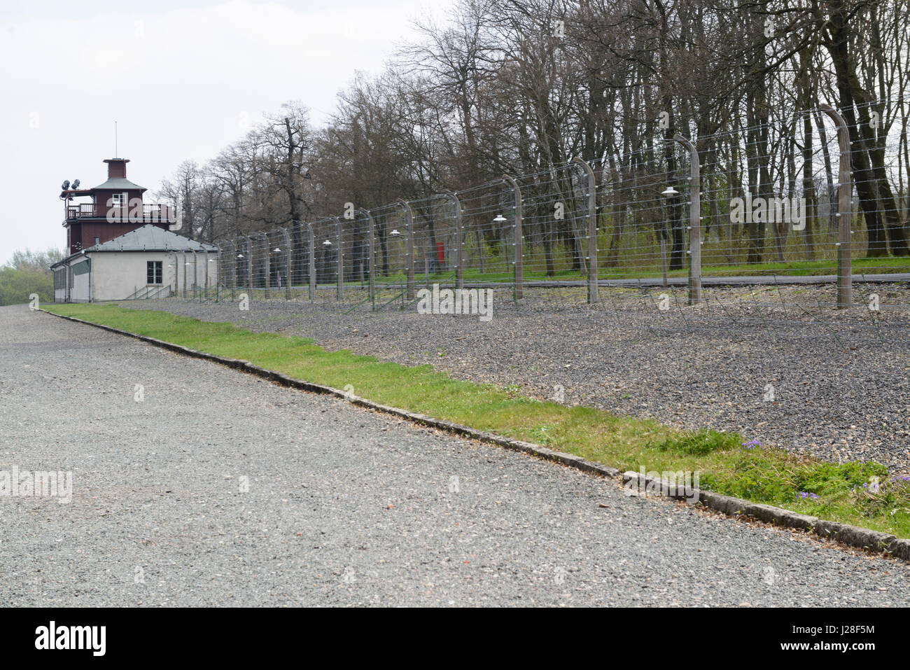 Il camp recinto intorno a Buchenwald campo di concentramento memorial vicino a Weimar, Germania. Foto Stock