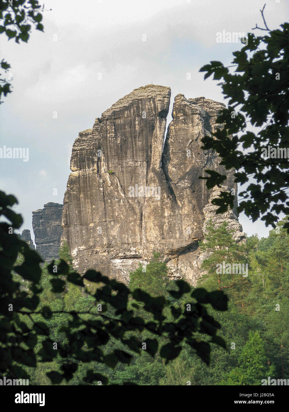 In Germania, in Sassonia, Svizzera Sassone, rocce con fogliame in primo piano Foto Stock